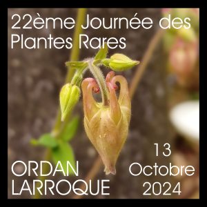Affiche 22ème journée des plantes rares – carré JPG