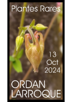 Affiche 22ème journée des plantes rares – verticale PDF