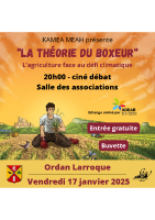 Affiche – La théorie du boxeur