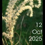 Affiche - Plantes-Rares, 12 oct 2025, 9h-18h, Ordan-Larroque (32)